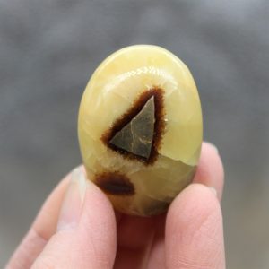 Septarian (Dragon Stone) Pebble