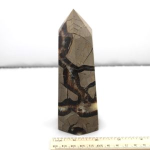 Septarian Tower from Madagascar