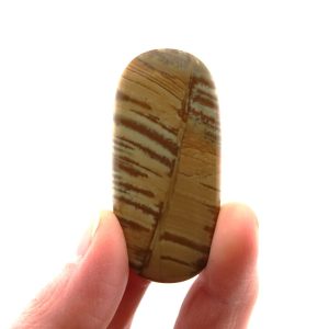 Jasper Free Form Cabochon