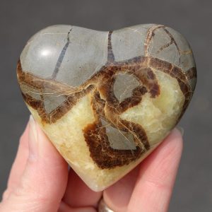 Septarian (Dragon Stone) Heart