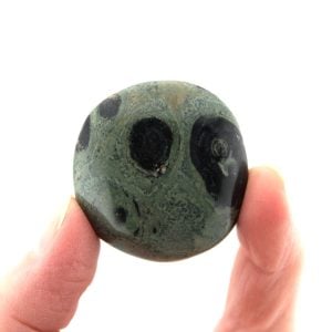 Kambaba Jasper Mini Palm Stone