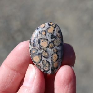 Leopardskin Jasper Cabochon