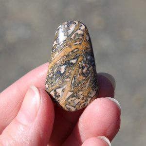 Leopardskin Jasper Cabochon