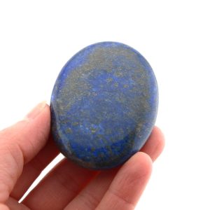 Lapis Palm Stone with Pyrite