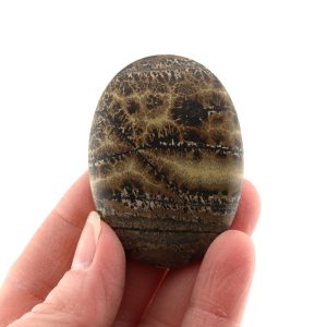 Dendritic Siltstone Cabochon