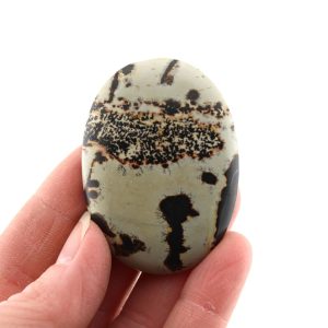 Dendritic Siltstone Cabochon