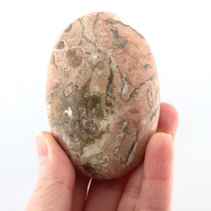 Rose / Porcelain Jasper Palm Stone