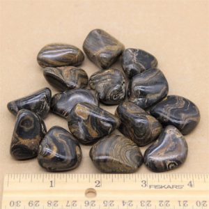 Stromatolite Tumbled Stone
