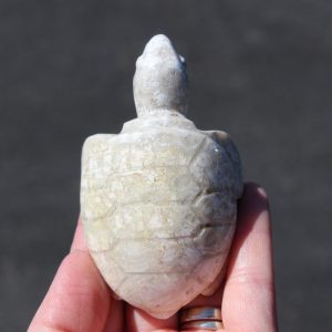 Fossil Coral Turtle Carving
