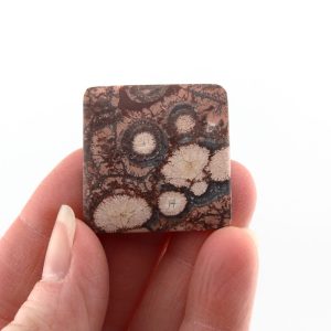 Bird's Eye Rhyolite Cabochon