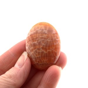 Fire Crab Agate Cabochon