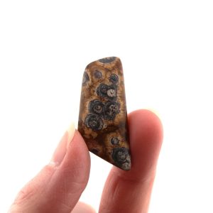 Bird's Eye Rhyolite Cabochon