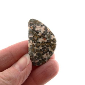 Leopardskin Jasper Cabochon