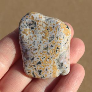Ocean Jasper Tumbled Stone