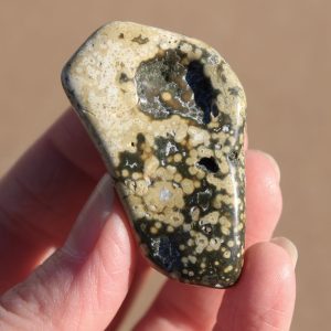 Ocean Jasper Tumbled Stone