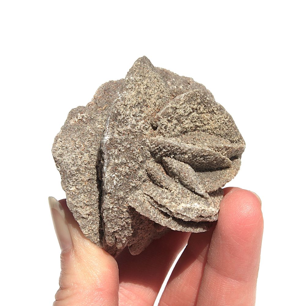 Selenite Rose from Argentina - Image 3