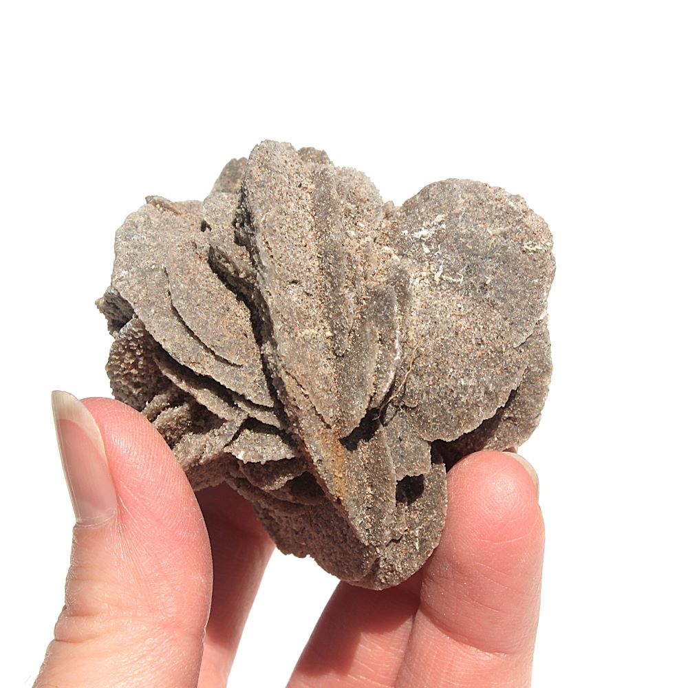 Selenite Rose from Argentina