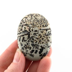 Dendritic Siltstone Cabochon