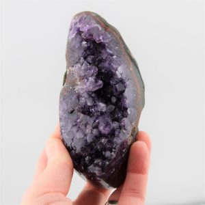 Amethyst Cluster from Uruguay