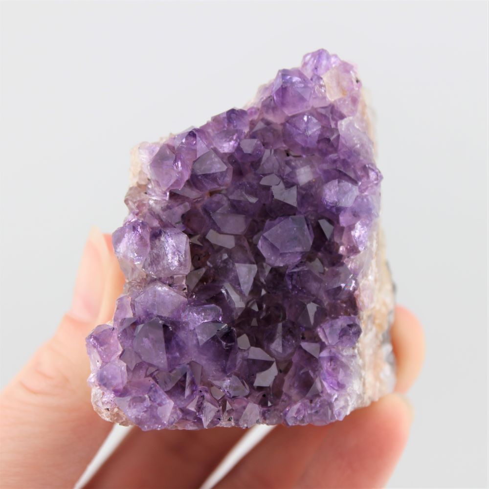 Amethyst Cluster from Brazil