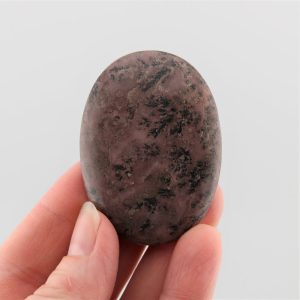 Dendritic Siltstone Cabochon