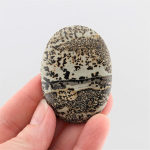 Dendritic Siltstone Cabochon