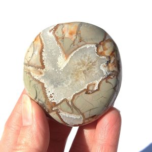 Ibis Jasper Palm Stone from Madagascar