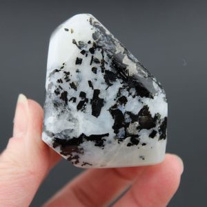 Polished Moonstone Free Form