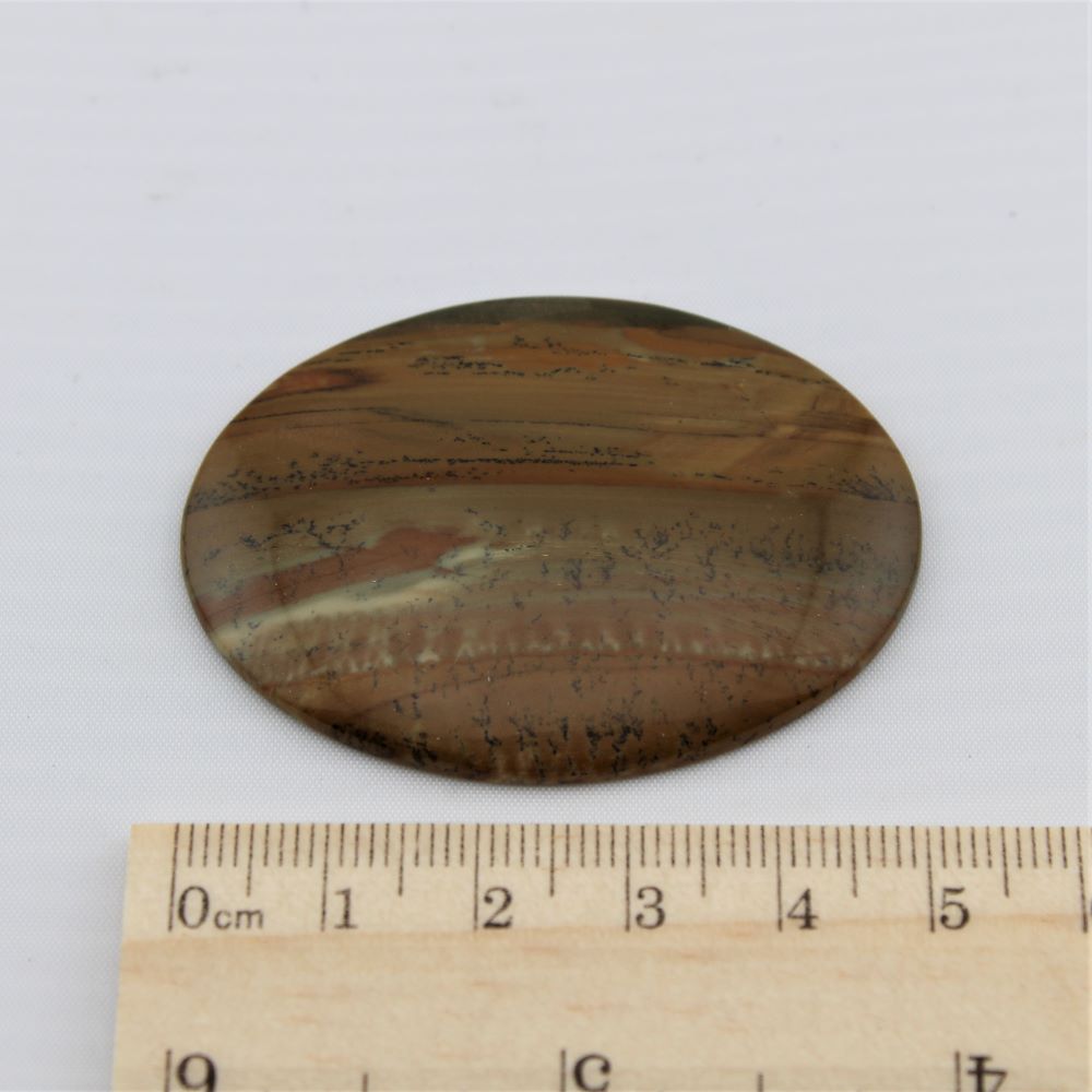 Oval Owyhee Jasper Cabochon - Image 3