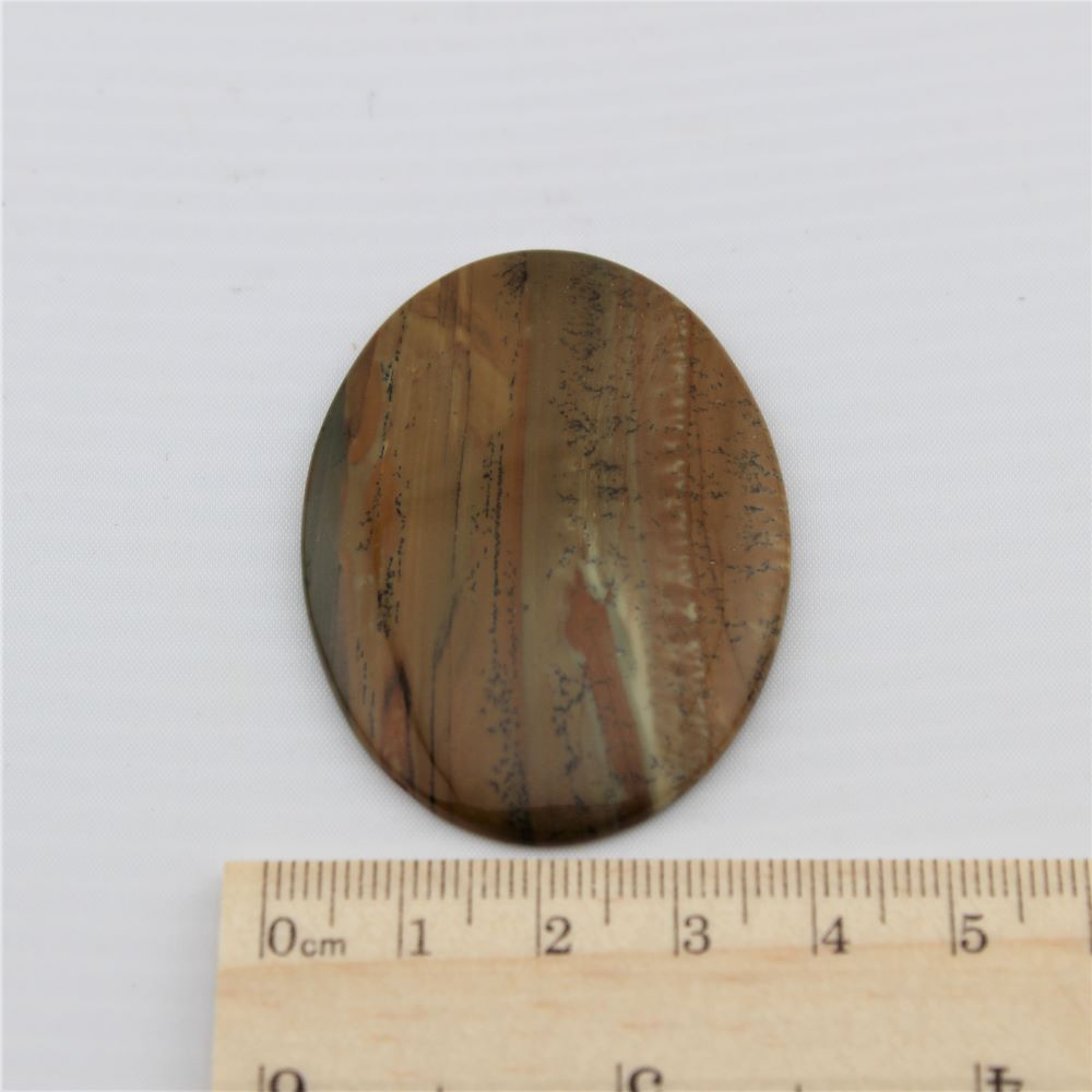Oval Owyhee Jasper Cabochon - Image 2