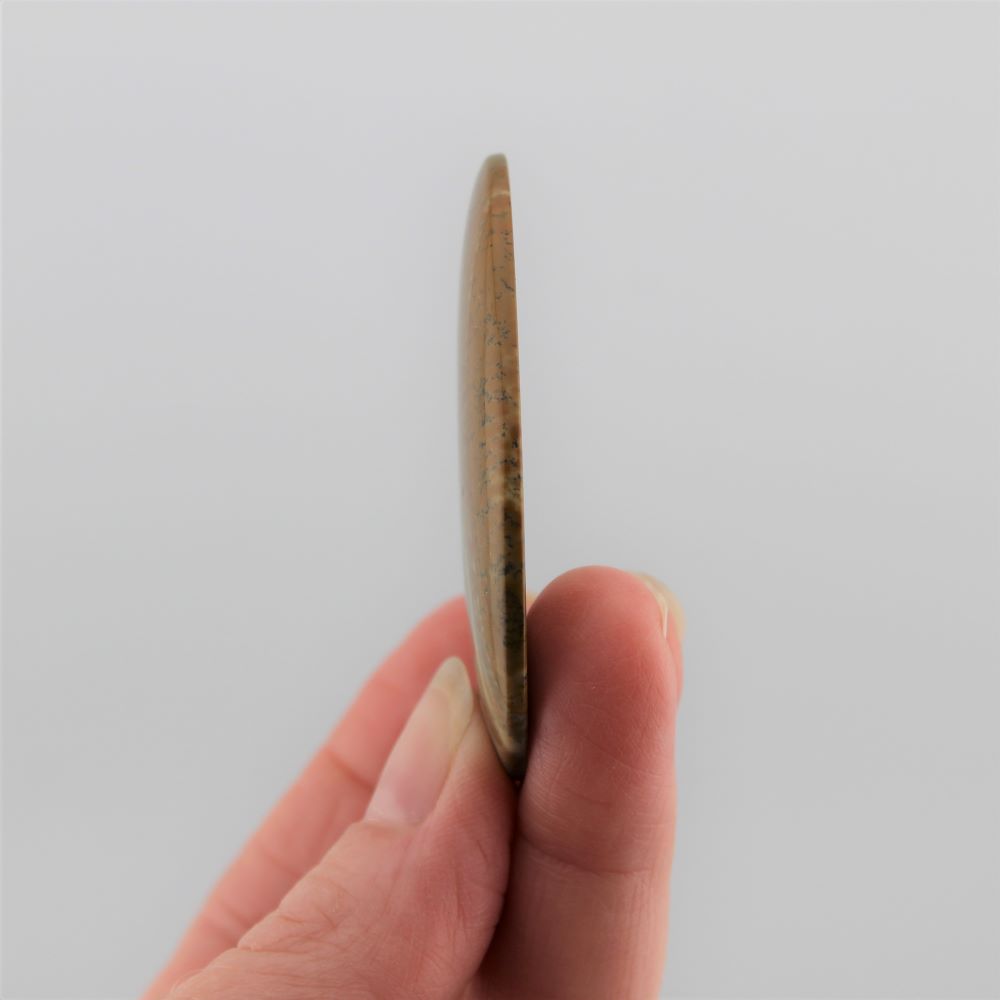 Oval Owyhee Jasper Cabochon - Image 4