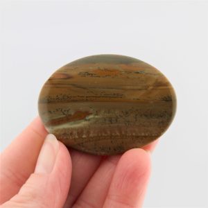 Oval Owyhee Jasper Cabochon