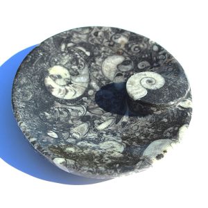 Fossil Dish with Ammonite