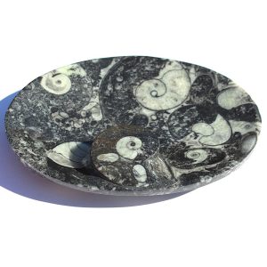 Fossil Dish with Ammonites