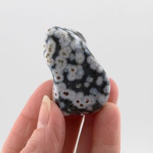 Ocean Jasper Tumbled Stone