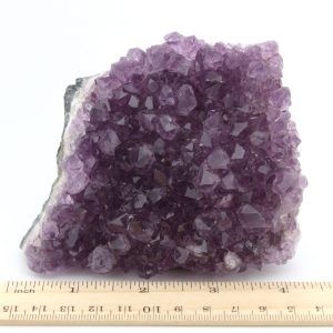 Amethyst Cluster from Brazil