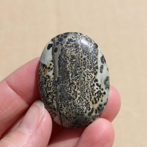 Dendritic Siltstone Cabochon