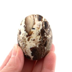 Opal Palm Stone from Madagascar