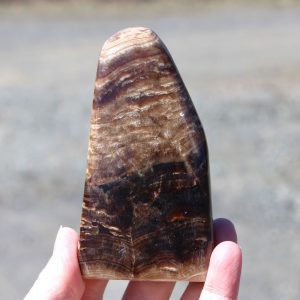 Chocolate Calcite Free Form