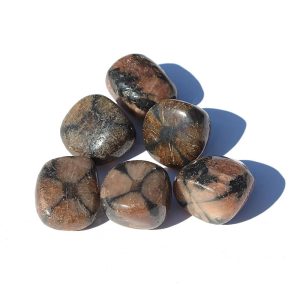 Chiastolite Tumbled Stone