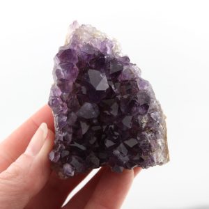 Amethyst Cluster from Uruguay