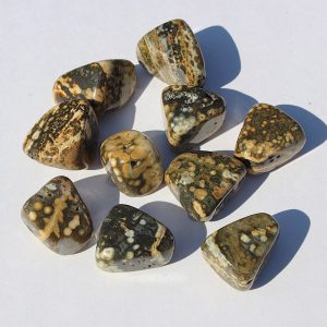 Ocean Jasper Tumbled Stone