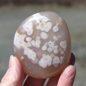 Flower Agate Palm Stone