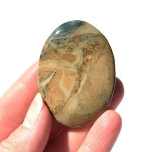 Morrison Ranch Jasper Cabochon