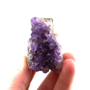 Amethyst Cluster from Uruguay