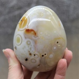 Agate Polished Freeform