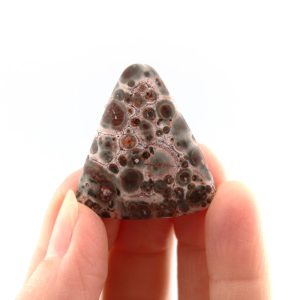 Leopardskin Jasper Cabochon