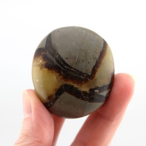 Septarian (Dragon Stone) Mini Palm Stone