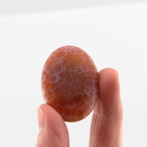 Oval Fire Crab Agate Cabochon