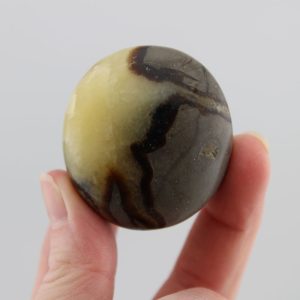Septarian (Dragon Stone) Mini Palm Stone